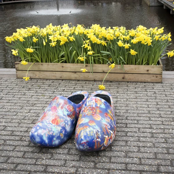 The Yellow daffodils near the fountain on the background of trees in the botanical garden in Keukenhof and traditional Dutch shoes — Stock Photo, Image