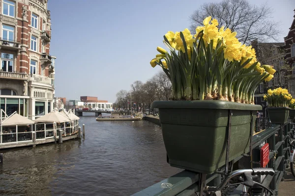 O festival anual de flores de primavera que flui nas ruas de Amsterdã — Fotografia de Stock