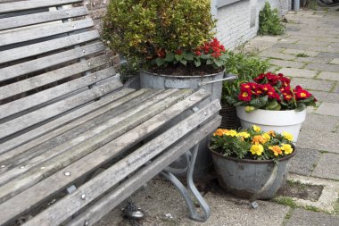 Marigolds, primrose ve Şimşir büyük seramik tencere tezgah bir bahçe süs yakın: