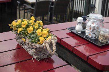 Bir restoranda kırmızı masada taş bir vazoda sarı, turuncu Menekşe