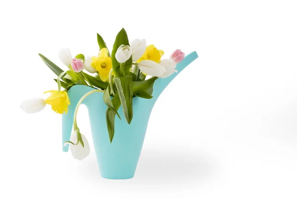 Modré plastové zalévání může s kyticí květů žluté narcisy a tulipány bílé a růžové na bílém pozadí. Zahradní příslušenství. — Stock fotografie