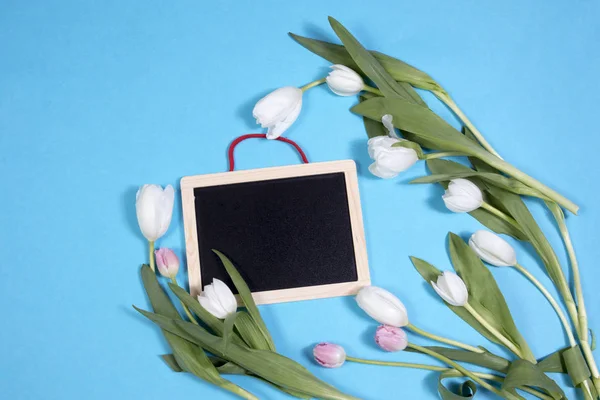 Tulipanes blancos sobre fondo azul como tarjeta —  Fotos de Stock