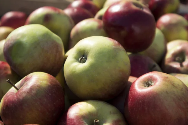 Coxes pomme dans une boîte en bois sur le marché à vendre — Photo