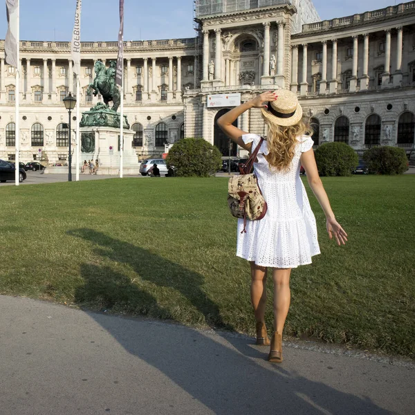 Jezdecká socha arcivévody Karla na náměstí Heldenplatz — Stock fotografie