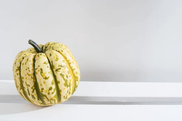 Diferentes variedades de calabazas se encuentran en el estante blanco del estante en el interior de la cocina —  Fotos de Stock