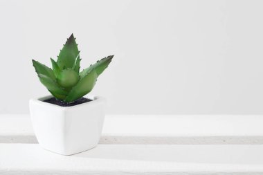 Beyaz seramik bir tencerede suni sulu bir defter arka planında bir raf.