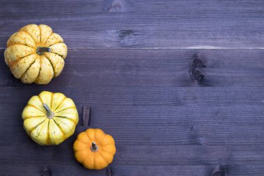 kabaklar ve yapraklar, kahverengi ahşap arkaplanda üst görünüm, kopya alanı olan web pankartı