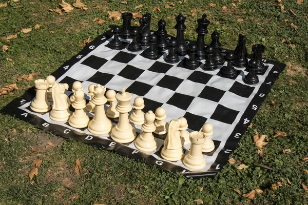 Шахматы на траве в парке в Вене. Каждый может играть. . — стоковое фото