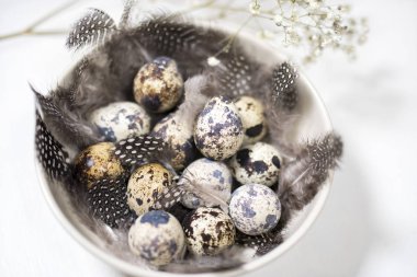 Koyu ahşap arka planda bıldırcın yumurtaları ve tüyleri olan Rustik Sepet.