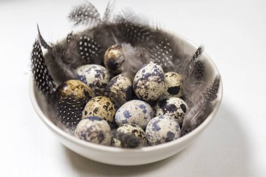 Koyu ahşap arka planda bıldırcın yumurtaları ve tüyleri olan Rustik Sepet.