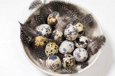 Koyu ahşap arka planda bıldırcın yumurtaları ve tüyleri olan Rustik Sepet.