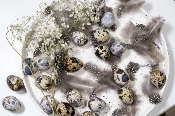 A rusztikus kosár fürj tojások és tollak sötét fa háttér — Stock Fotó