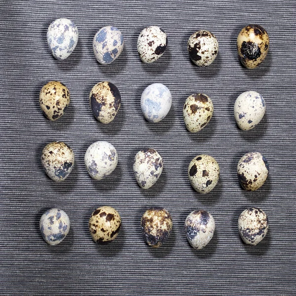 灰色の背景にウズラの卵のパターン, — ストック写真