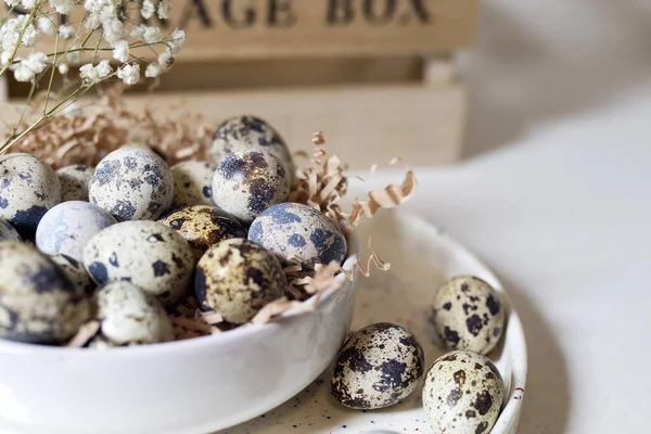 Huevos de codorniz en un tazón de cerámica blanca. Decoración de Pascua de cocina —  Fotos de Stock