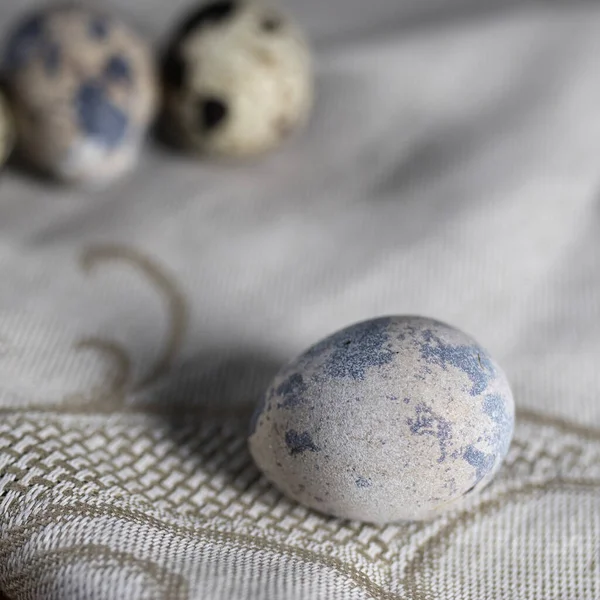 Quail eggs pattern on grey background, close up. Easter decoration of kitchen