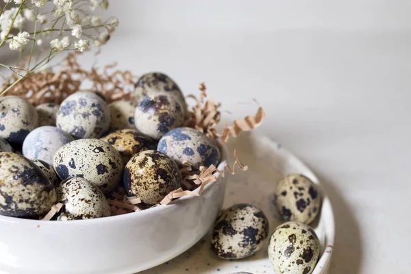 Huevos de codorniz en un tazón de cerámica blanca. Decoración de Pascua de cocina —  Fotos de Stock