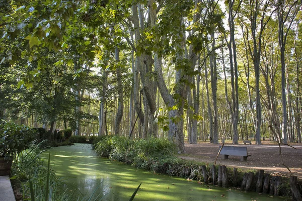 Parque Devesa en Girona ciudad, Cataluña, España — Foto de Stock