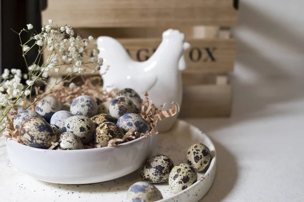 Huevos de codorniz en un tazón de cerámica blanca. Decoración de Pascua de cocina —  Fotos de Stock