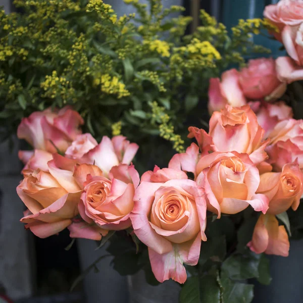 Rosa rosor i genomskinliga förpackningar för försäljning på marknaden som vykort — Stockfoto