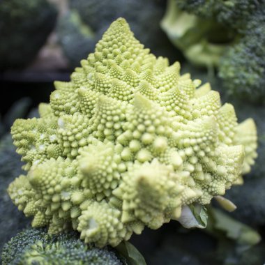 Romanesco yeşil lahana Borough Market 'te satışta.