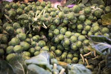 Brüksel lahanalarıyla dolu sandık (Latince adı Brassica oleracea var. Markette sergilenen minyatür lahanalara benzeyen çarmıha gerilmiş bir sebze.