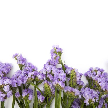 Beyaz arka planda güzel renkli taze çiçek buketi.