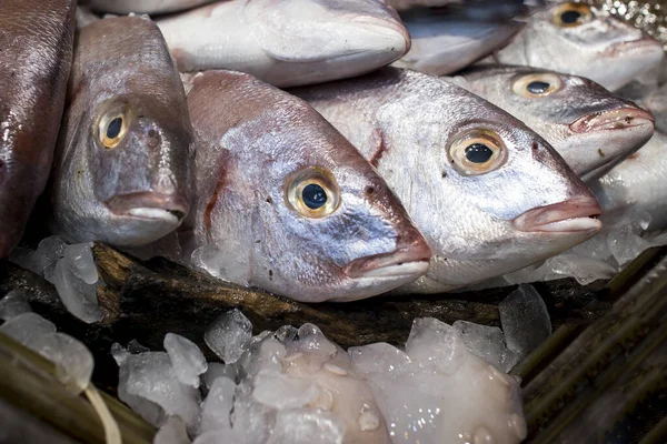 Verse vis op ijs. Verkoop van verse diepgevroren vis op boerenbazaar. Open vitrines van zeevruchten markt. Viswinkel — Stockfoto