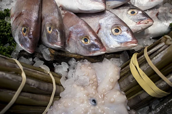 Verse vis op ijs. Verkoop van verse diepgevroren vis op boerenbazaar. Open vitrines van zeevruchten markt. Viswinkel — Stockfoto