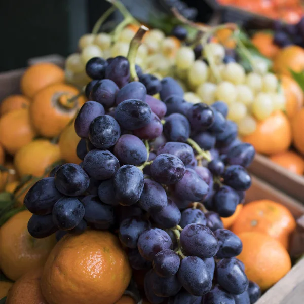 Borough Marketのカウンターでみかんとオレンジを背景に白と青のブドウ。野菜屋の店内 — ストック写真