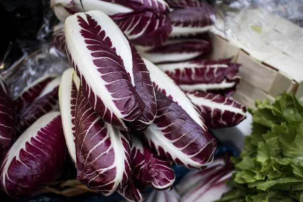 Salada Borgonha Trisino para venda no mercado — Fotografia de Stock