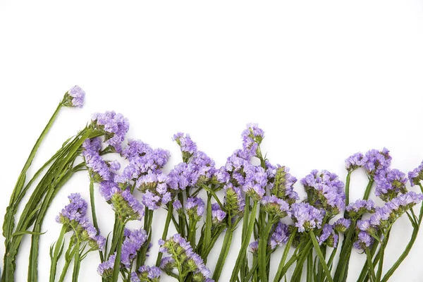 Vakker, fargerik blomsterbukett av stilk på hvit bakgrunn – stockfoto