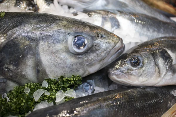 Frischer Fisch auf Eis. Verkauf von frischem gefrorenem Fisch auf dem Bauernbasar. offene Vitrinen mit Meeresfrüchten Markt. Fischgeschäft — Stockfoto