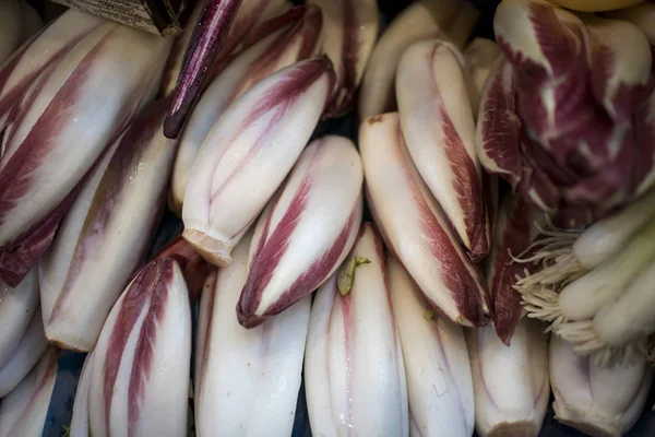 Radicchio rosso di Treviso，俗称Treviso — 图库照片