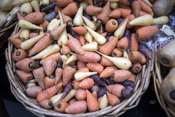 Les carottes Chantenay sont de petite taille dans le panier — Photo