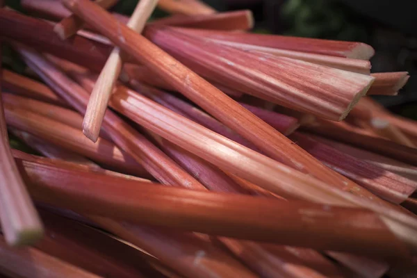 Kırmızı ravent sapları reçel pişirmek ve turta yapmak için kullanılır. Tezgahta satılık.. — Stok fotoğraf