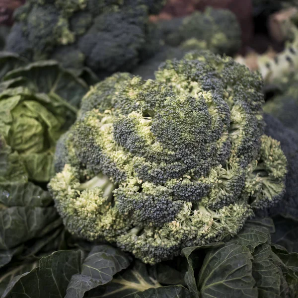 Brokoli organik segar di Borough Market di counter . — Stok Foto
