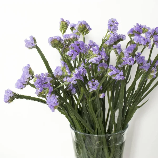 Vakker, fargerik blomsterbukett av stilk – stockfoto