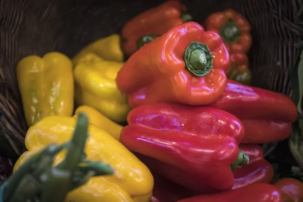 Pimientos rojos frescos verdes amarillos en el establo —  Fotos de Stock