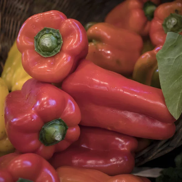 Pimientos rojos frescos verdes amarillos en el establo — Foto de Stock