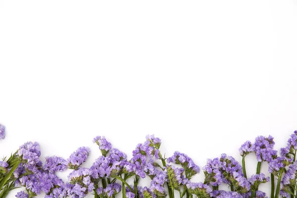 Vakker, fargerik blomsterbukett av stilk på hvit bakgrunn – stockfoto