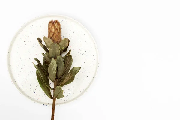 Dried postcard on a white ceramic dish as a concept postcard — 스톡 사진