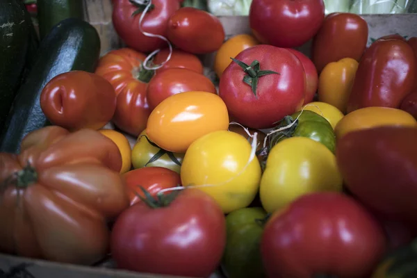 Různé druhy rajčat na prodej na pultu na trhu v Borough — Stock fotografie