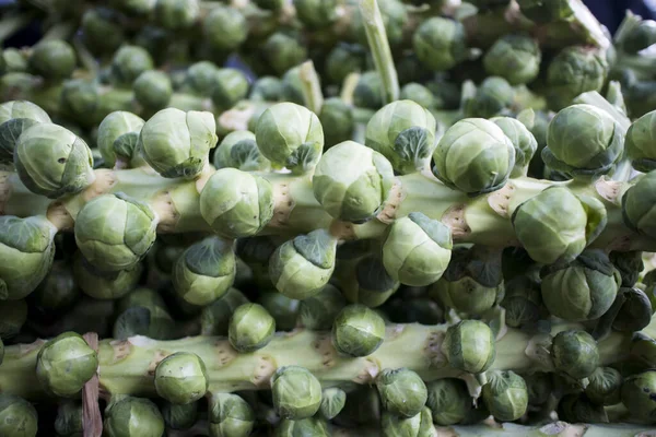 Skrzynia pełna łodyg brukselki (łacińska nazwa Brassica oleracea var. gemmifera) warzywo liściaste krzyżowe wyglądające jak miniaturowa kapusta na wystawie w markecie — Zdjęcie stockowe