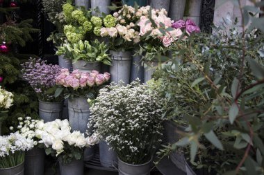 Bouquets of pink roses and red tulips, green hydrangea in pastel colors in large zinc buckets for sale in store.