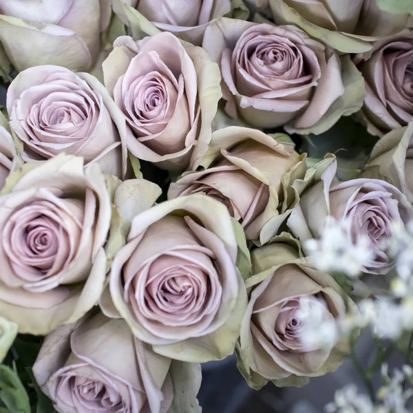 Bouquets de rosas brancas, um belo pano de fundo para cartão de saudação . — Fotografia de Stock