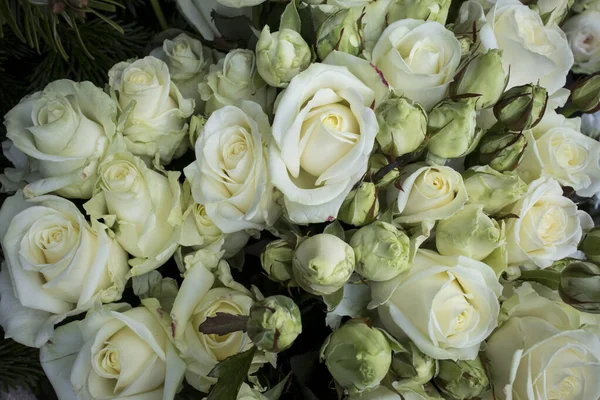Букет белых роз, красивый фон для поздравительной открытки . — стоковое фото
