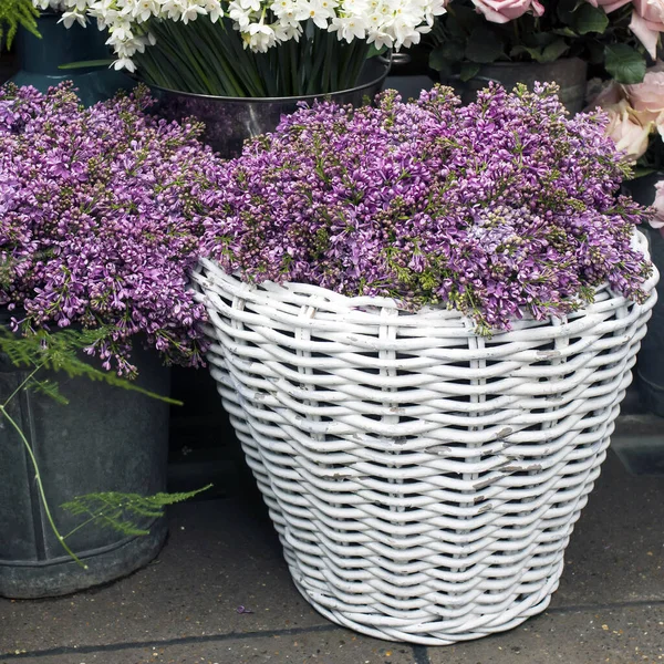 ロンドンの自由の店の近くの色の様々な 錫の花瓶に大きな花束 — ストック写真