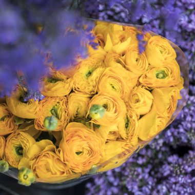 Sarı Ranunculus buketinin tasarım kartı. kare biçimi