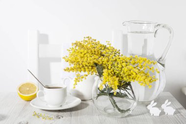 Sabah kahvesi masada. Mimozalı vazo, Kadınlar Günü 'nün sembolü, güneşli bir günde bir sürahi su..
