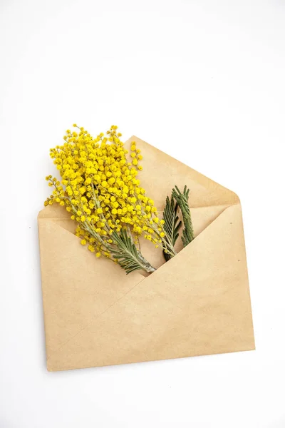 여성의 카드로 봉투에 노란색 미모사의 — 스톡 사진